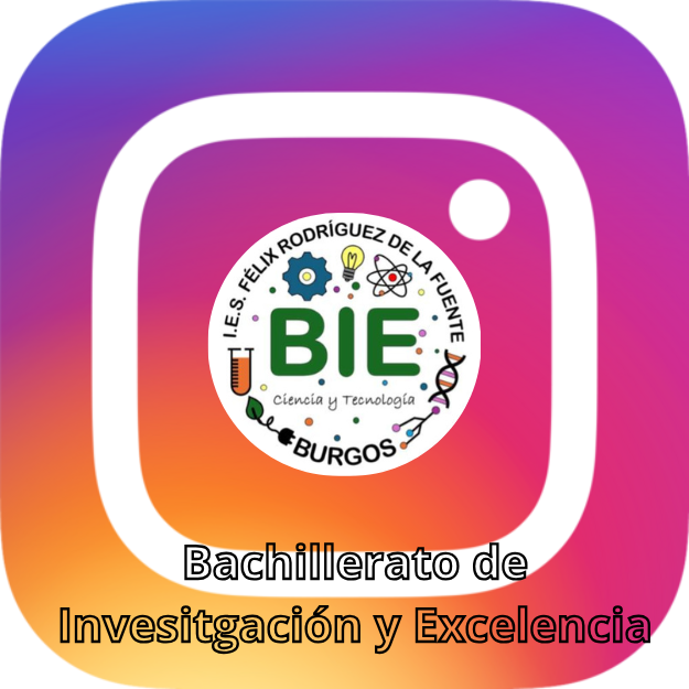 Instagram BIE
